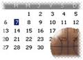 basket_calendario