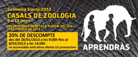 Banner_-_Casals2013_cat