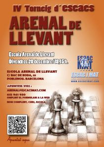 Cartell_IVArenal13-14